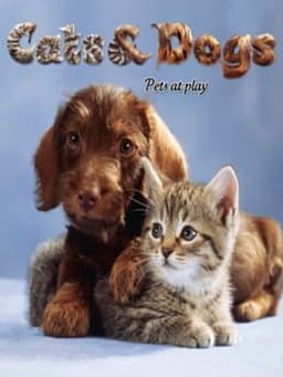 Cats & Dogs 3D: Pets at Play