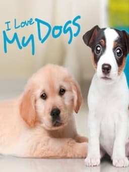 I Love my Dogs
