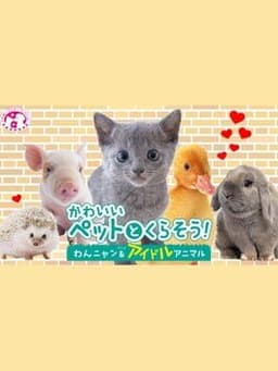 かわいいペットとくらそう! わんニャン&アイドルアニマル