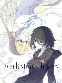 everlasting flowers