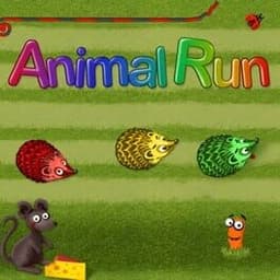 Animal Run
